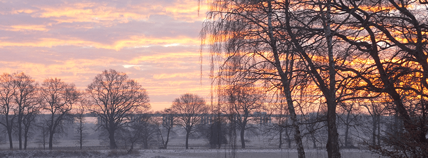 Oldenburg, im Winter,